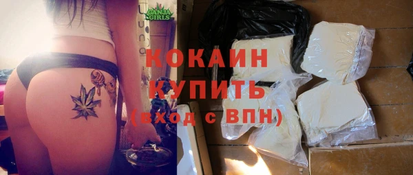 ПСИЛОЦИБИНОВЫЕ ГРИБЫ Лысково