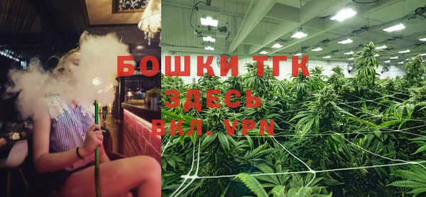 ПСИЛОЦИБИНОВЫЕ ГРИБЫ Лысково