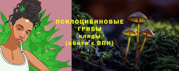 ECSTASY Зеленокумск