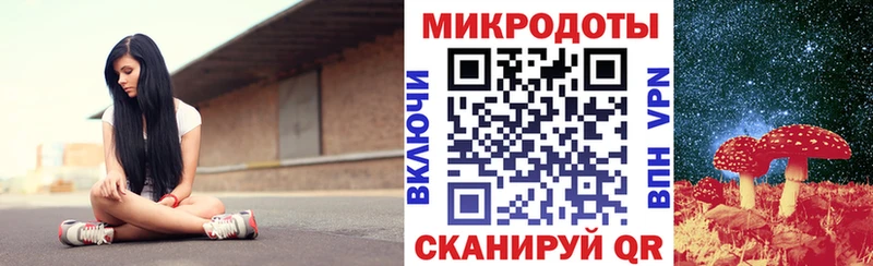 Псилоцибиновые грибы Psilocybe Соль-Илецк
