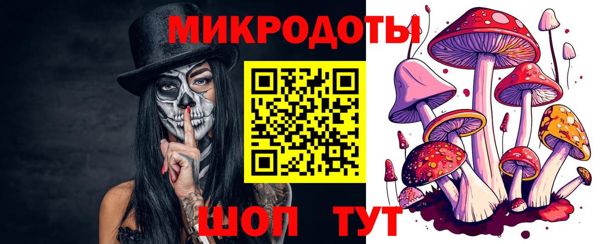 Галлюциногенные грибы GOLDEN TEACHER  Вход с VPN  Соль-Илецк 