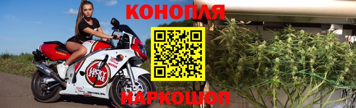 Каннабис White Widow  МАРИХУАНА гибрид  Конопля LSD WEED  Соль-Илецк  Вход с VPN 